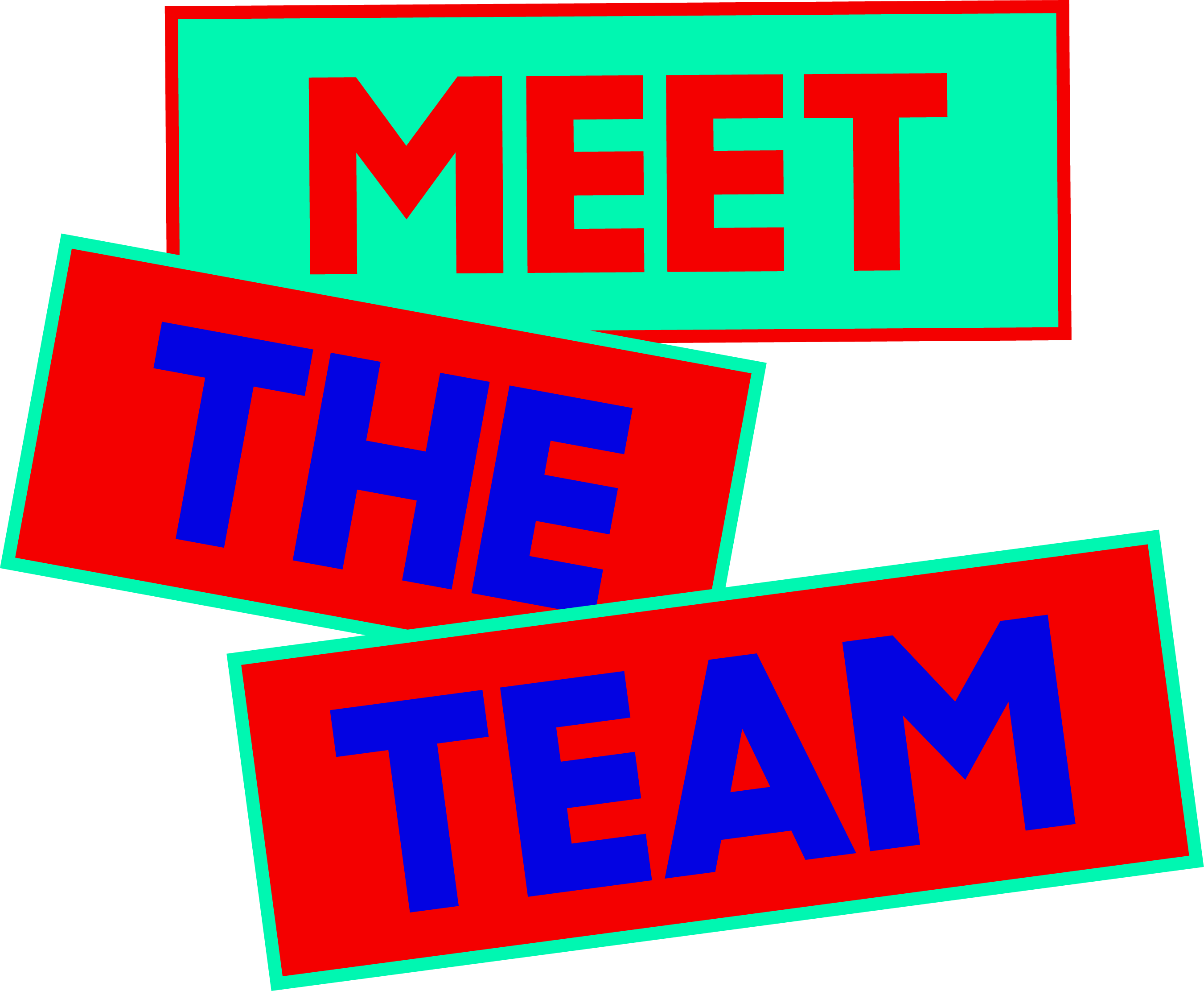 Meet the Team